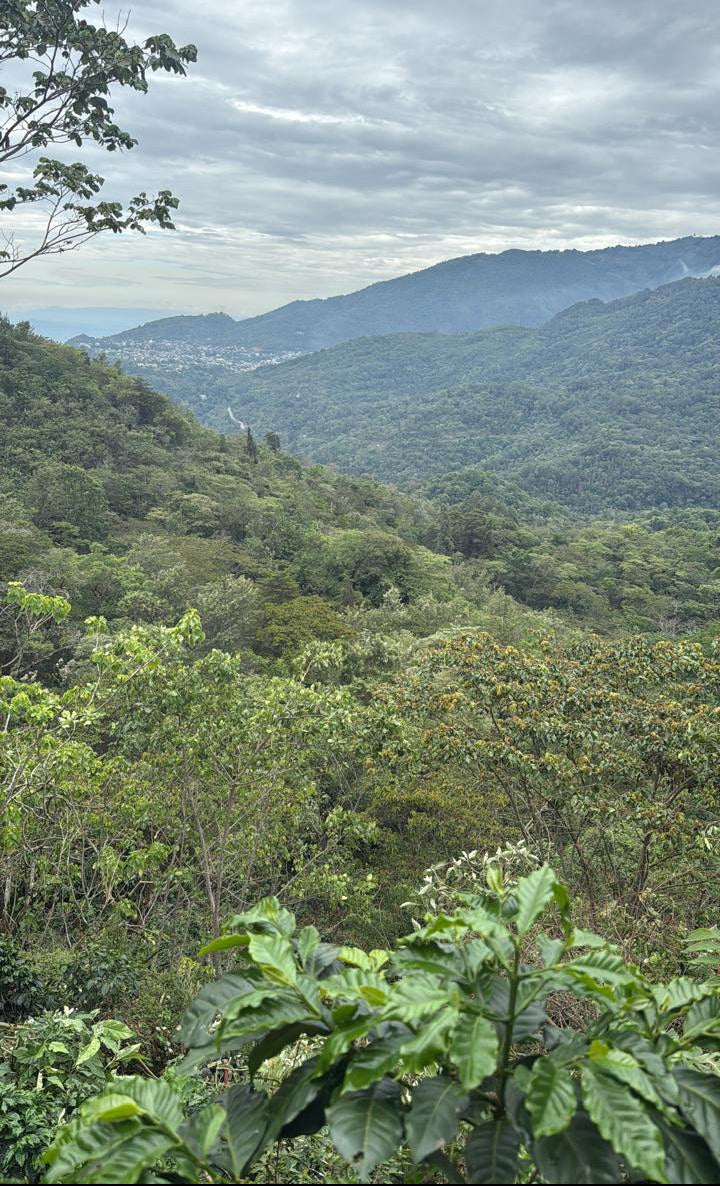 A scenic landscape photograph of lush green mountains and forested hills under a cloudy, overcast sky, with a small town visible in the distance.