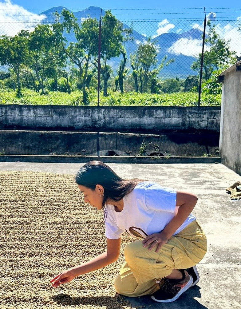 A woman crouches outdoors on a concrete patio, reaching toward a large spread of dried coffee beans. In the background are green trees, a chain-link fence, and mountains under a blue sky.